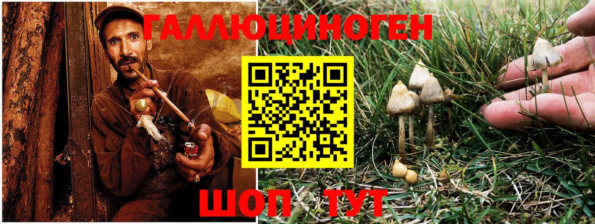 Галлюциногенные грибы MAGIC MUSHROOMS  Псилоцибиновые грибы GOLDEN TEACHER  Вход с VPN  Трёхгорный 