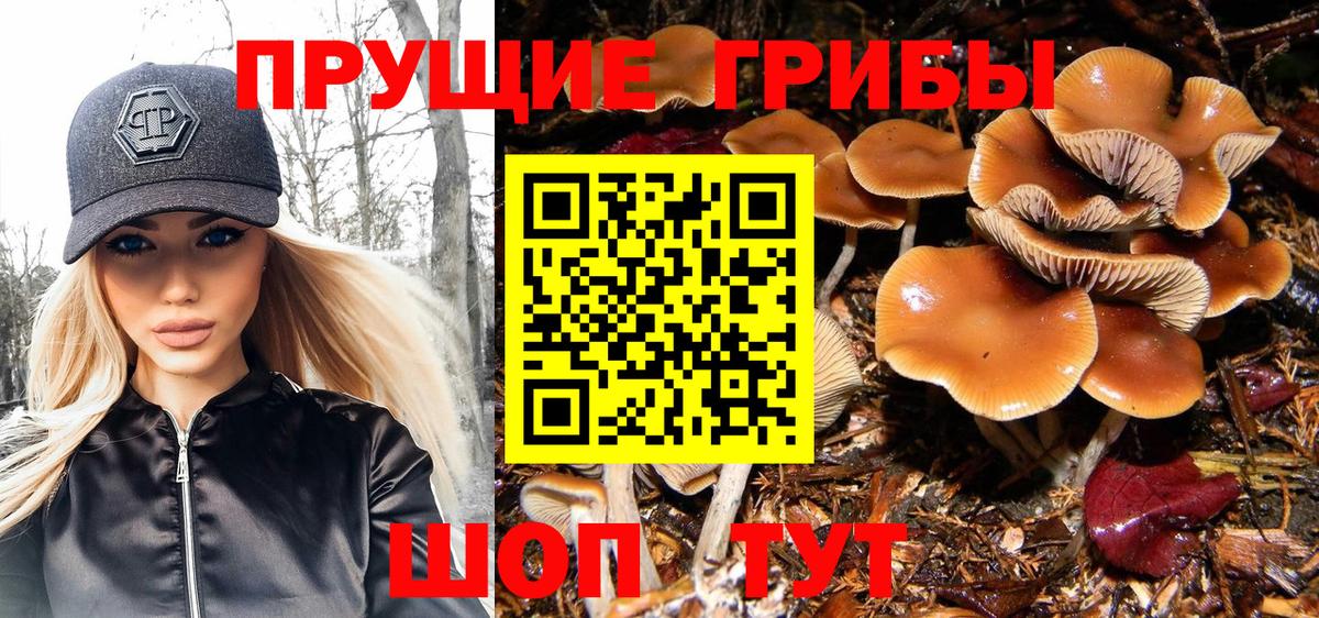 Псилоцибиновые грибы мицелий Трёхгорный